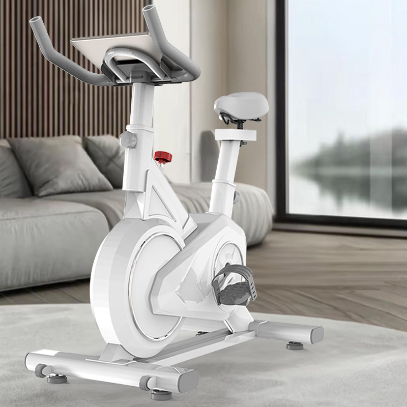 지능형 회전 자전거 홈 실내 미니 운동 자전거 장비 체 - Exercise Bike Magnetic Resistance 리뷰 및 가격